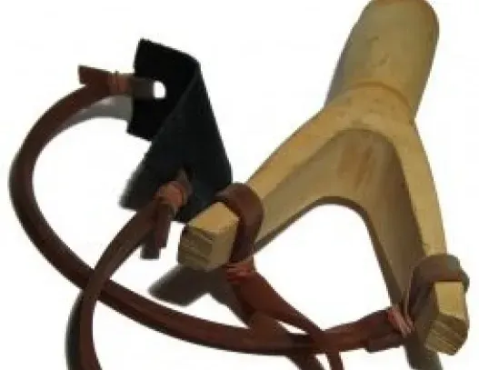 Metafora della fionda e della pietra